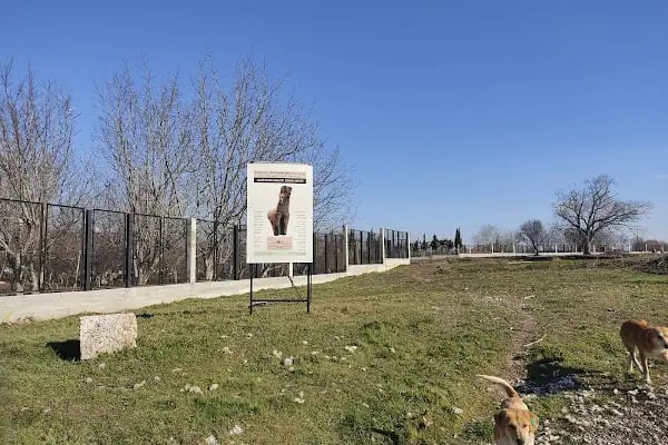 Aşağı Pınar Açık Hava Müzesi - Resim 20