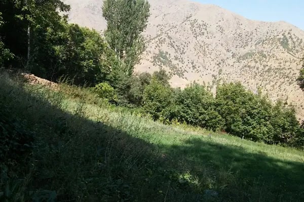 Akyayla - Resim 20