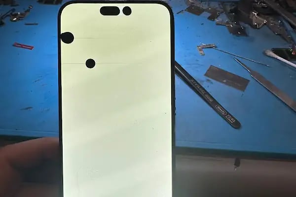 Ayyıldız GSM Finike - Resim 6