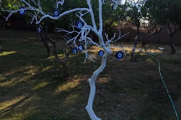Şirin Garden - Resim 17