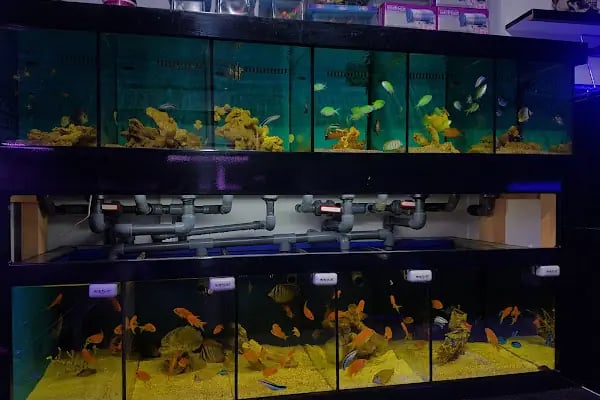 Aqua Reef Central - Resim 18