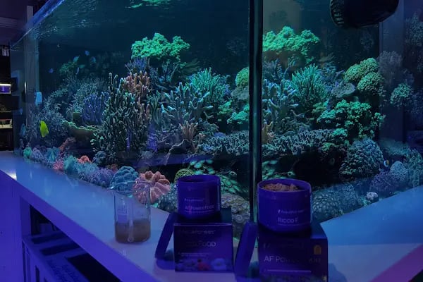 Aqua Reef Central - Resim 1