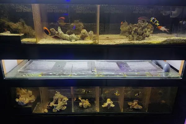 Aqua Reef Central - Resim 10