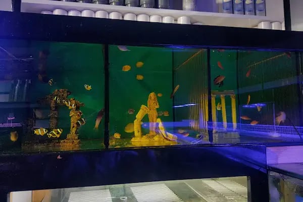 Aqua Reef Central - Resim 12