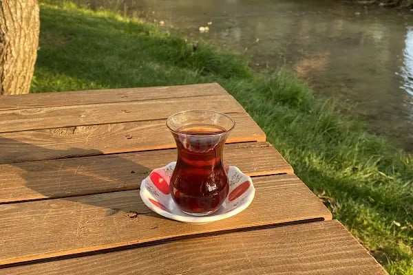 İlhanlı Alabalık Tesisleri - Resim 18