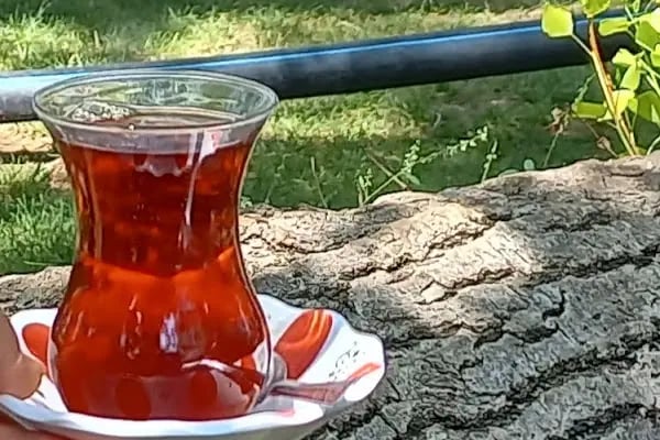 İlhanlı Alabalık Tesisleri - Resim 17
