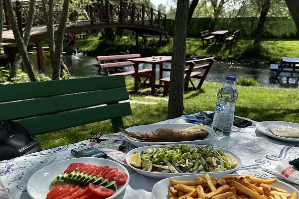 İlhanlı Alabalık Tesisleri - Resim 13