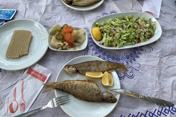 İlhanlı Alabalık Tesisleri - Resim 3