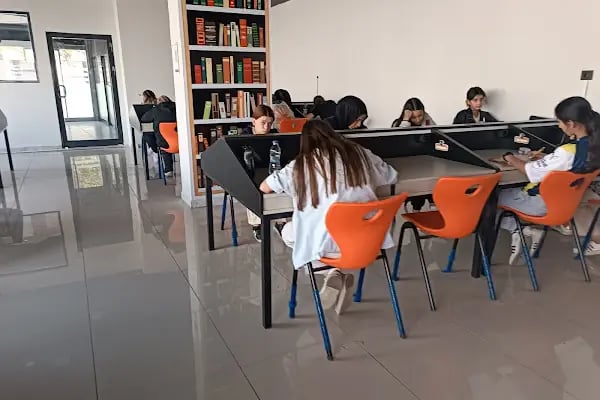 Polinom Eğitim Kurumları - Resim 17