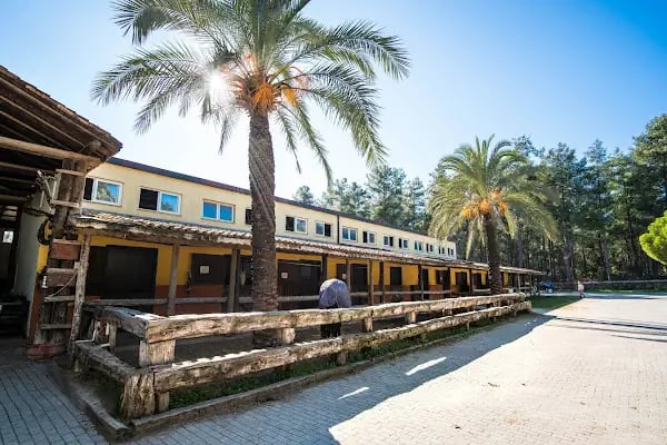 Orfe Tatil Köyü - Resim 13