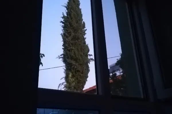 Nalbant Köyü Yukarı Mahalle Camii - Resim 19