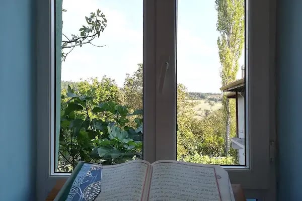 Nalbant Köyü Yukarı Mahalle Camii - Resim 8