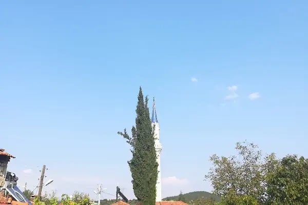 Nalbant Köyü Yukarı Mahalle Camii - Resim 5
