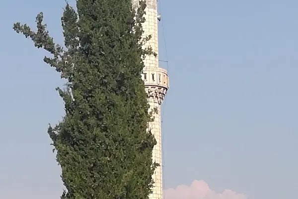 Nalbant Köyü Yukarı Mahalle Camii - Resim 10