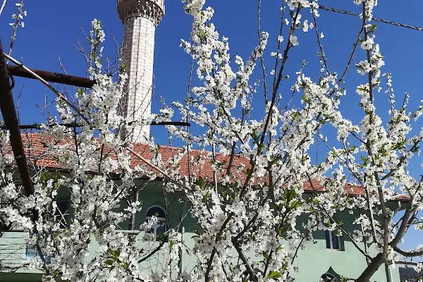 Nalbant Köyü Yukarı Mahalle Camii - Resim 3