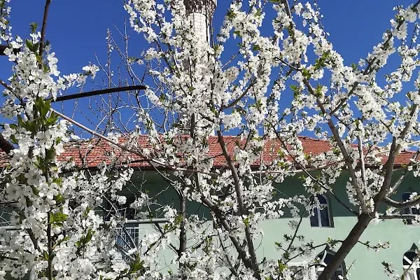Nalbant Köyü Yukarı Mahalle Camii - Resim 16