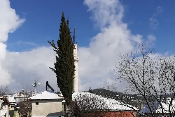 Nalbant Köyü Yukarı Mahalle Camii - Resim 11