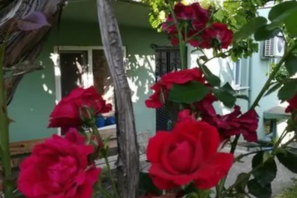 Nalbant Köyü Yukarı Mahalle Camii - Resim 14