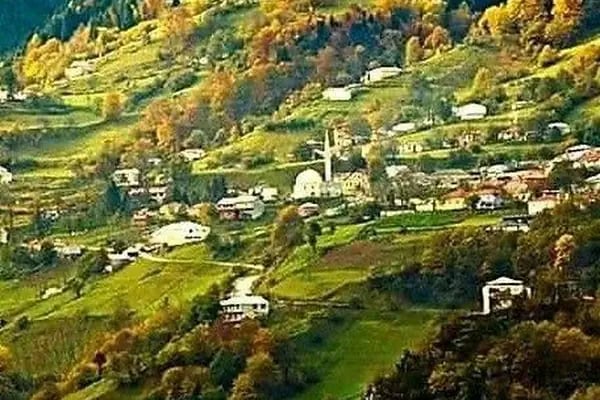 N.N.S. Kimya Temizlik Kozmetik Ambalaj Malzemeleri Nakliyat Sanayi Ticaret Ltd. Şti - Resim 15