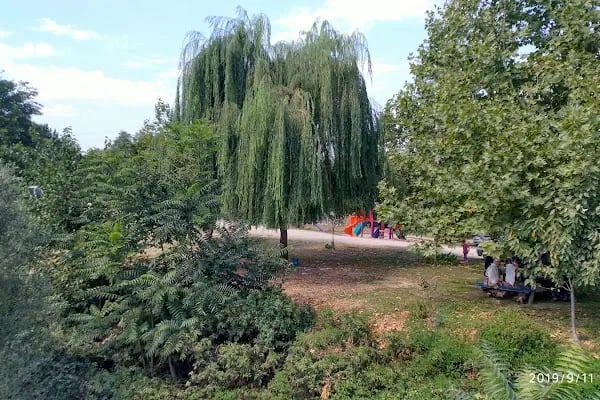 Kulaca okulu - Resim 9