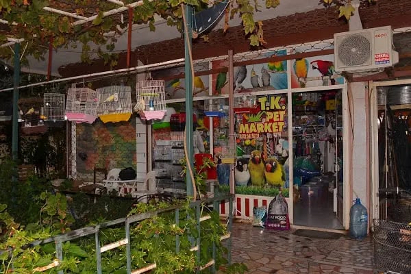 Tk Pet Market - Resim 15