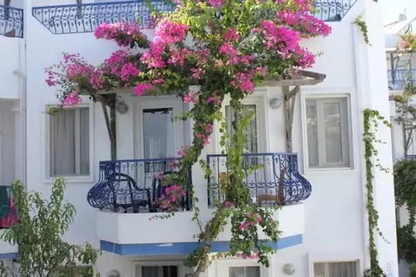 Jasmin Elite Residence & Spa - Resim 4