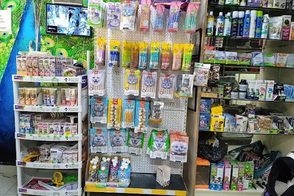 Rüyam Petshop Ve Balıkçılık Malzemeleri - Resim 9