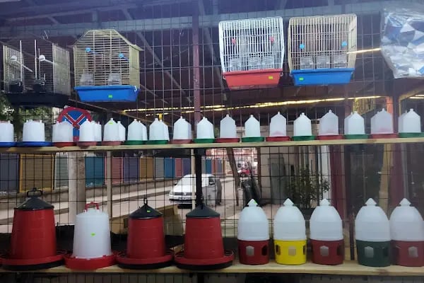 Rüyam Petshop Ve Balıkçılık Malzemeleri - Resim 19