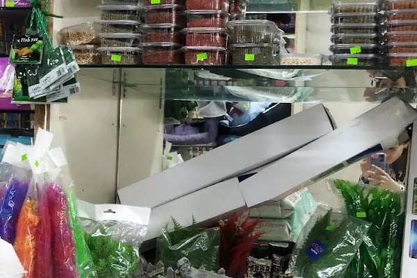 Rüyam Petshop Ve Balıkçılık Malzemeleri - Resim 16