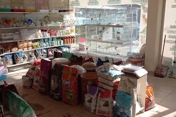 Rüyam Petshop Ve Balıkçılık Malzemeleri - Resim 12