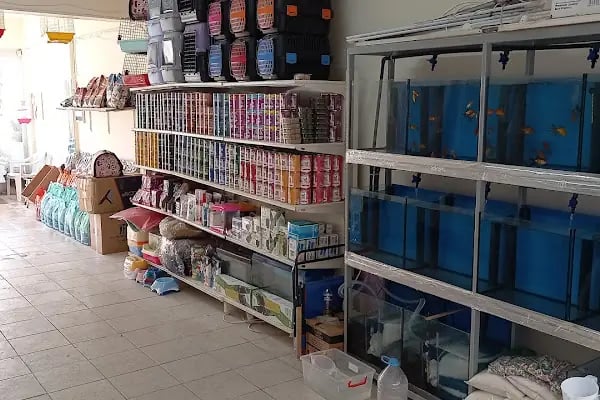 Rüyam Petshop Ve Balıkçılık Malzemeleri - Resim 18