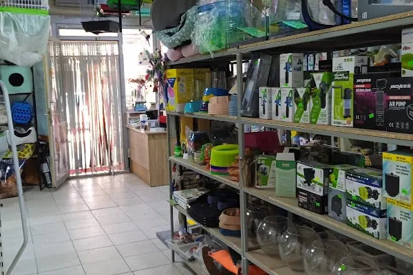 Rüyam Petshop Ve Balıkçılık Malzemeleri - Resim 15