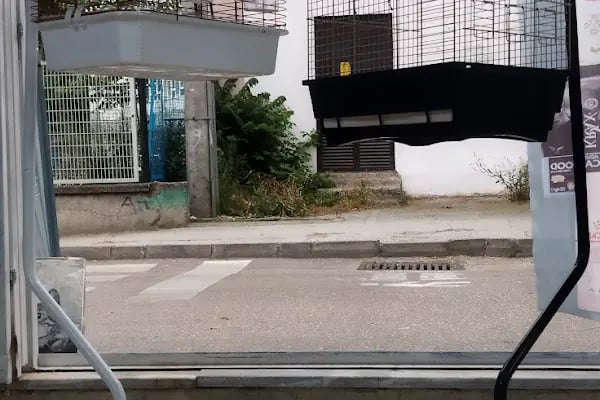 Rüyam Petshop Ve Balıkçılık Malzemeleri - Resim 10