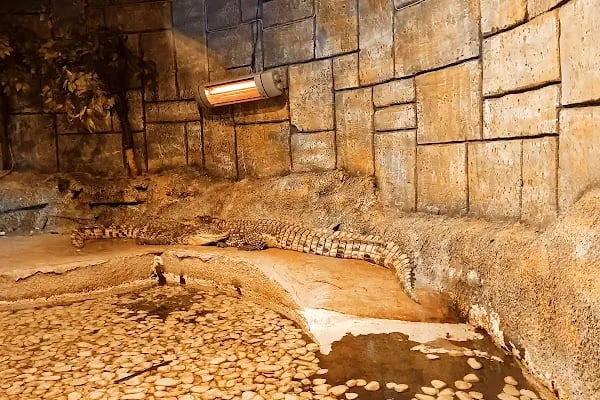 Keçiören Belediyesi Deniz Dünyası - Resim 15