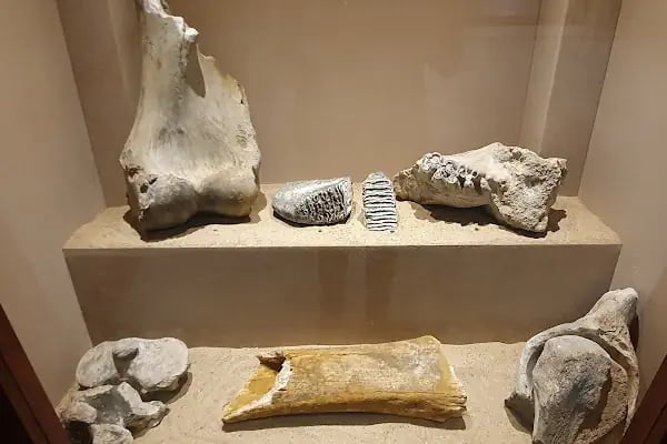 Edirne Arkeoloji ve Etnografya Müzesi - Resim 8