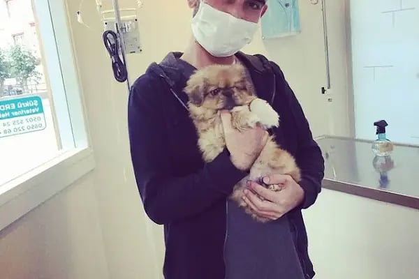 Petonomi Veteriner Kliniği - Resim 7