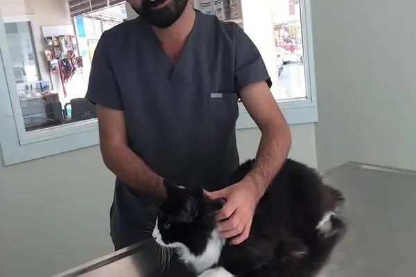 Petonomi Veteriner Kliniği - Resim 8