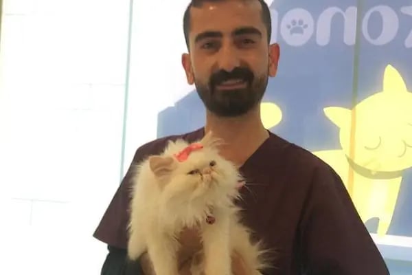 Petonomi Veteriner Kliniği - Resim 6