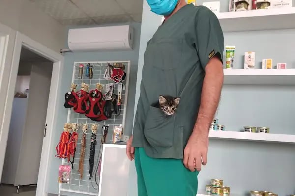 Petonomi Veteriner Kliniği - Resim 4
