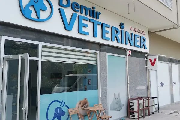 DEMİR VETERİNER KLİNİĞİ - Resim 15