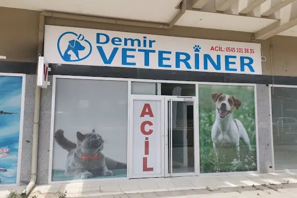 DEMİR VETERİNER KLİNİĞİ - Resim 17