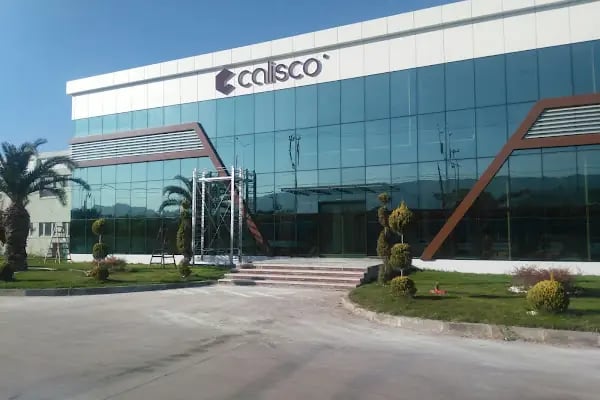 Calisco Kuvars Yüzeyler - Resim 10