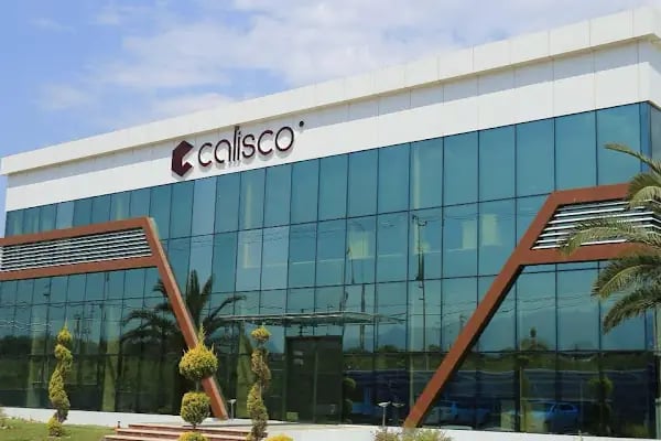 Calisco Kuvars Yüzeyler - Resim 14