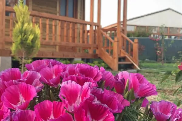 Gel Gör Ahşap Bungalov - Resim 15