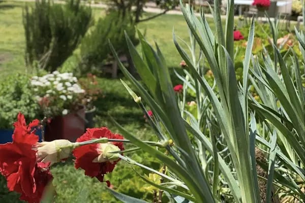 Gel Gör Ahşap Bungalov - Resim 19