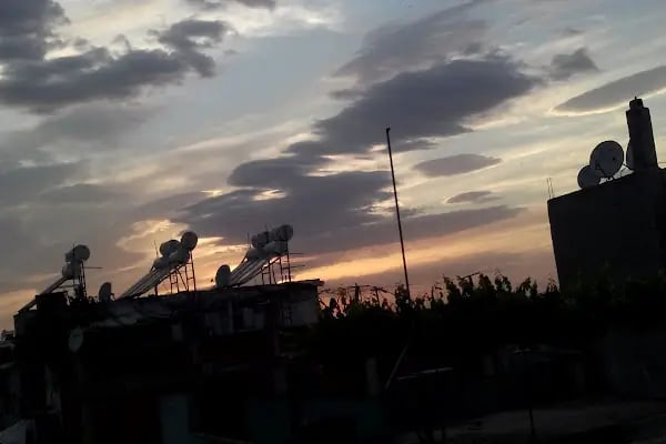 Çınar Parkı - Resim 4