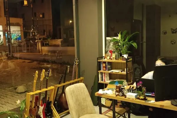 Müzikoloji Sanat - Resim 4
