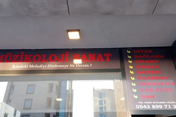 Müzikoloji Sanat - Resim 17