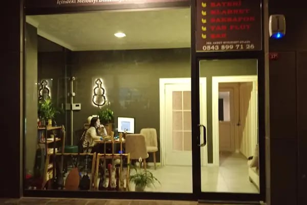 Müzikoloji Sanat - Resim 1