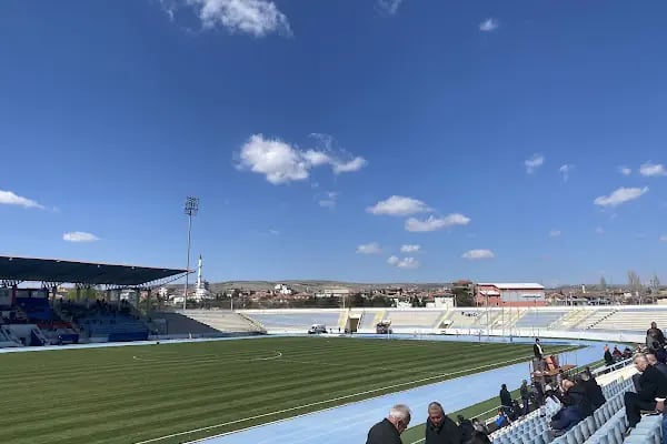 Başpınar Stadyumu - Resim 16